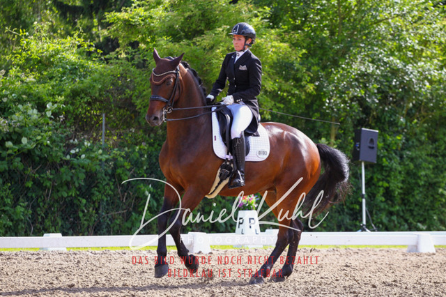 DKP41513 | Turnierfotos kaufen im Webshop von Daniel Kuhl Photography – entdecke professionelle Reitsportfotos aus Turnieren & Events. Hochwertige Turnierbilder online bestellen & sichern. Jetzt Fotos von Reitsportturnieren kaufen!