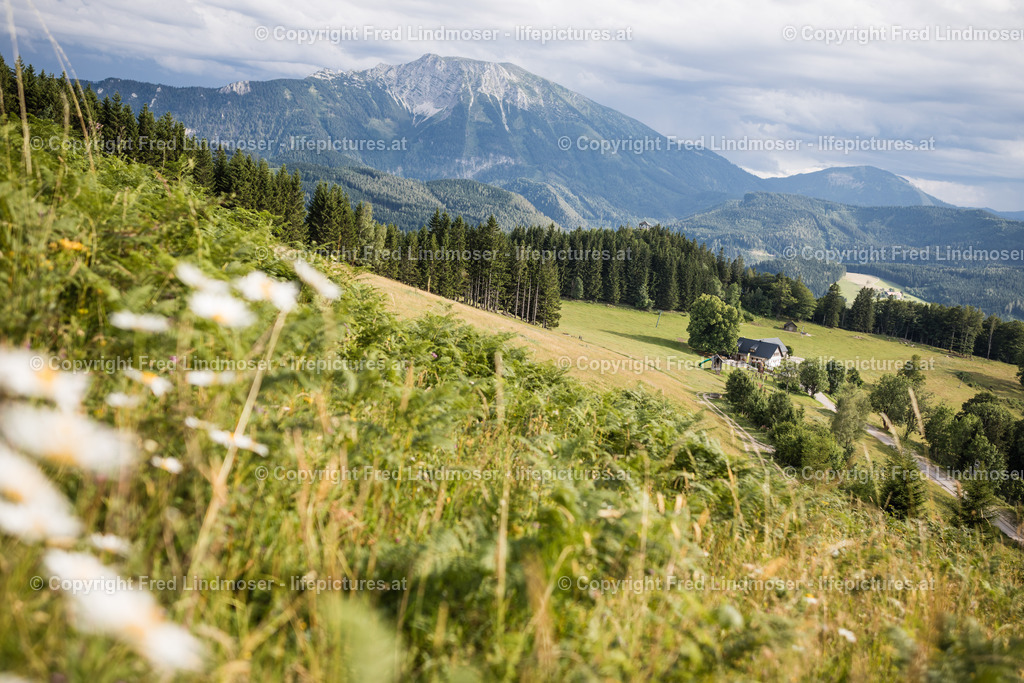 Otscher  (60) | Fotos und Fotoprodukte - Realisiert mit Pictrs.com