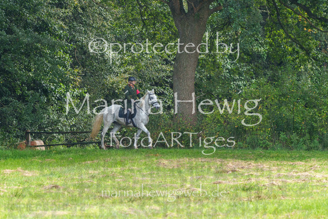 Jagd Perdoel_MarinaHewigMCH04641 | Fotografie, FotoArt, PferdesportArt, Pferdesportfotografie, Landschaftsfotografie, Reisefotografie, Reise, Pferde - Realisiert mit Pictrs.com