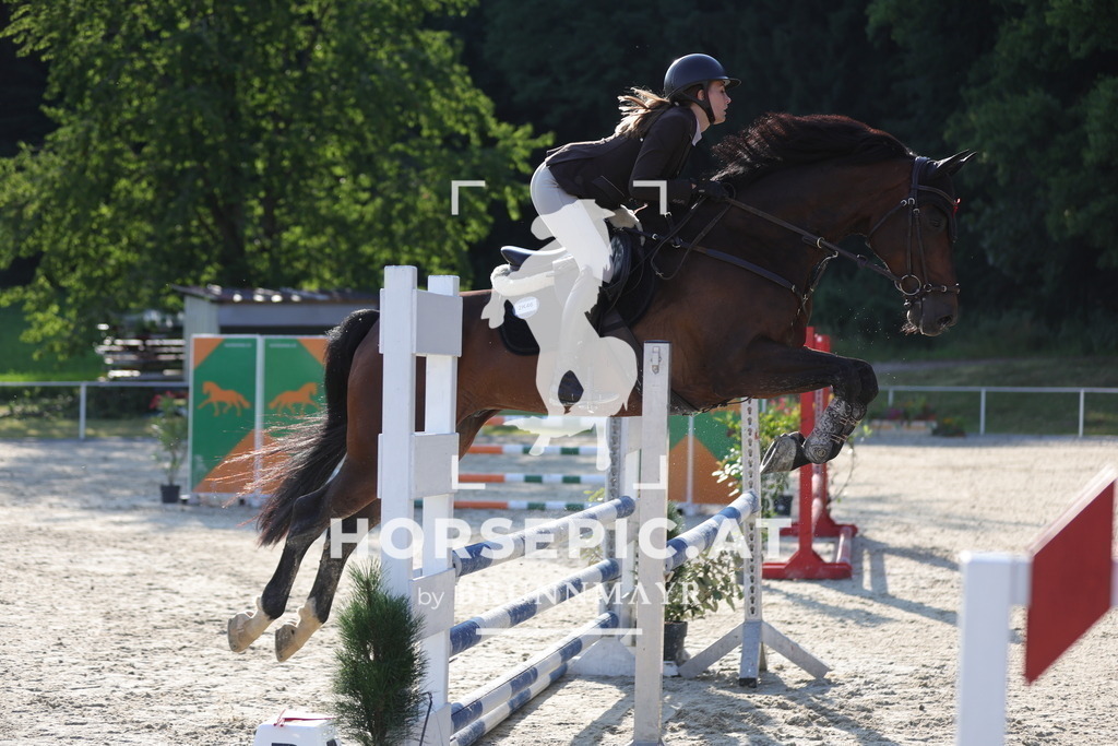 0P6A6646 | Willkommen bei Brunnmayr - Design & Fotografie – Ihrem Spezialisten für Reitturniere und Pferdeveranstaltungen in Oberösterreich, Salzburg und Bayern! Seit über 17 Jahren sind wir leidenschaftlich dabei.