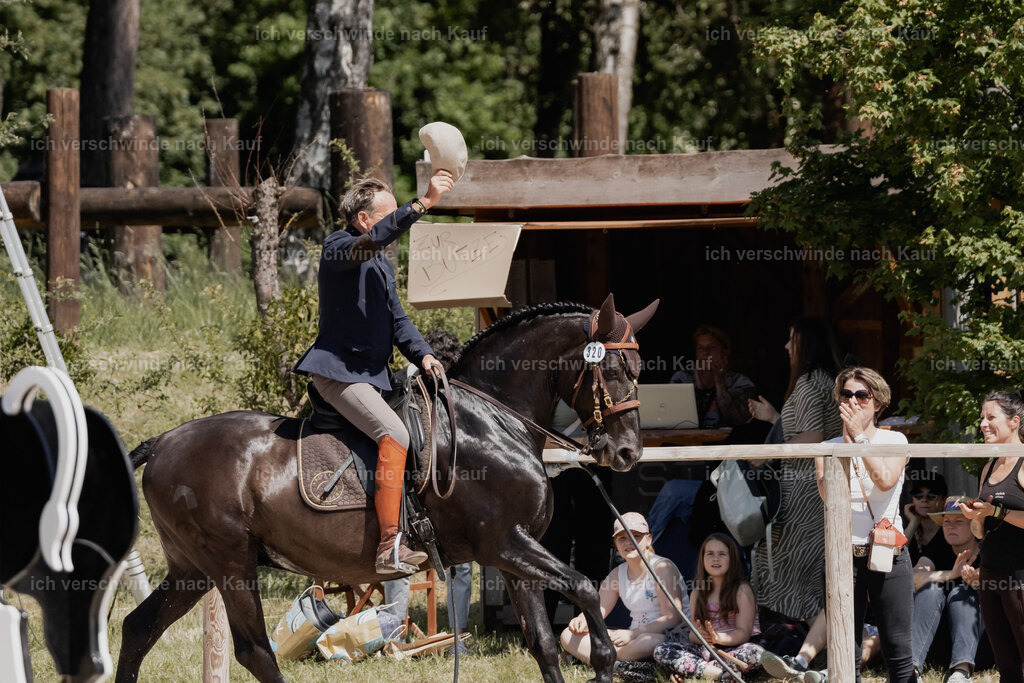 WE_SP_Stoib_320_PI2025_1735 | Pferd International München 2025