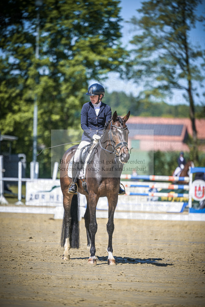 DOS_5908 | Entdecke hochwertige Reitturnierfotos von Foto Oger. Professionell, emotional und authentisch – jetzt Lieblingsmomente im Shop bestellen. - Realisiert mit Pictrs.com