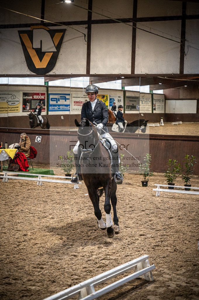Hallenreittunier Voxtrup 2023 | Entdecke hochwertige Reitturnierfotos von Foto Oger. Professionell, emotional und authentisch – jetzt Lieblingsmomente im Shop bestellen.Deutschlandweite Turnierfotografie. - Realisiert mit Pictrs.com