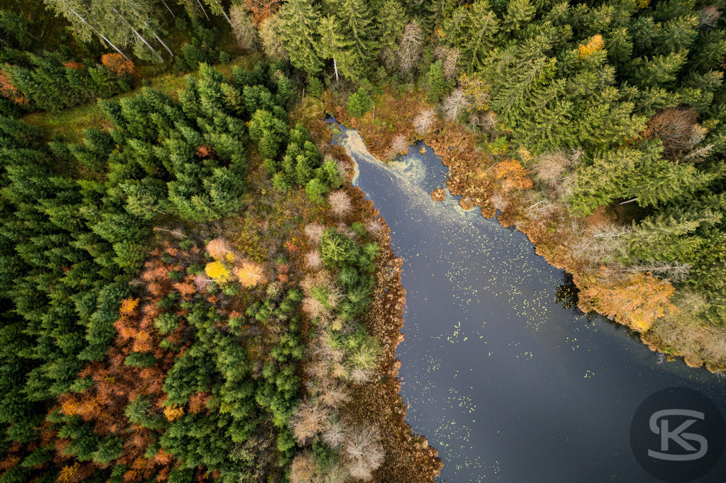 Allgäu-See-Landschaft aus der Luft mit dichtem Nadelwald im Herbst | Atemberaubende Allgäu-See-Landschaft aus der Luft mit farbenprächtigem Nadelwald im Herbst – idyllische Natur, klare Gewässer und leuchtende Herbstfarben für beeindruckende Drohnenaufnahme - Realisiert mit Pictrs.com