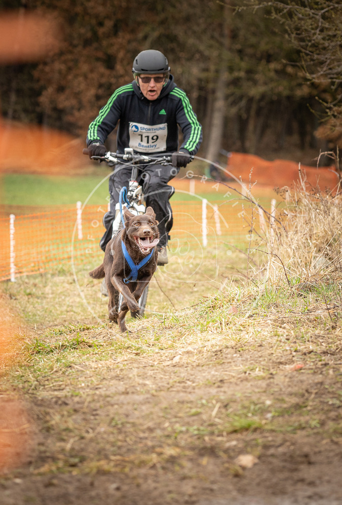 DV3A1027 | Hundefotografie, Tierfotograf, Pfotenfotografie, Fotoshooting Hund, Hunde Portrait, Hundesport, Hundeportraits, Heideshooting, Hunde, Sportfotograf, Hundefotograf, Turnierhundsport, THS,  - Realisiert mit Pictrs.com