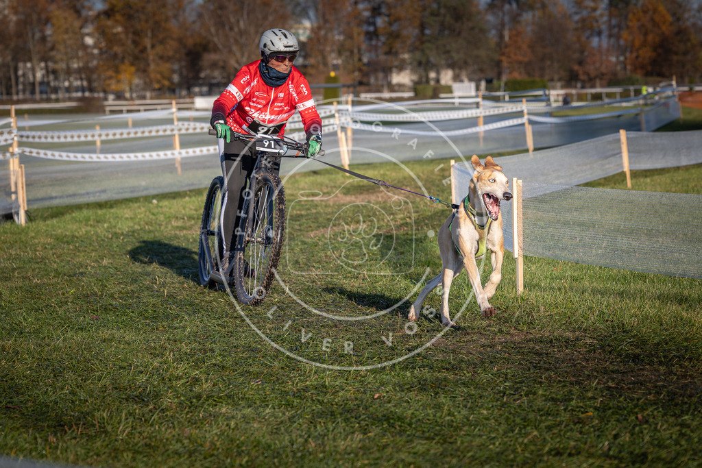 CaniXpix_0L8A3982 | Hundefotografie, Tierfotograf, Pfotenfotografie, Fotoshooting Hund, Hunde Portrait, Hundesport, Hundeportraits, Heideshooting, Hunde, Sportfotograf, Hundefotograf, Turnierhundsport, THS,  - Realisiert mit Pictrs.com