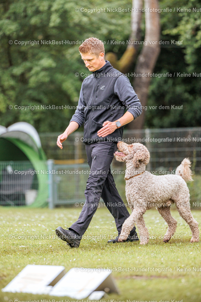 RO-Blumenthal-2026-Nickbest-Hundefotografie-4201 | Dein Hund! Dein Moment! Deine Erinnerungen! Hundefotografie in Bremen Blumenthal. Ich fange die besonderen Momente deines Vierbeiners ein – ob Indoor mit Blitzanlage oder in der freien Natur. Sicher dir dein Moment und dein Termin für eure Erinnerungen.