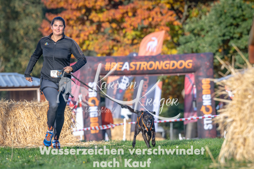 0913_ZZ90117 | kk-dogfotos