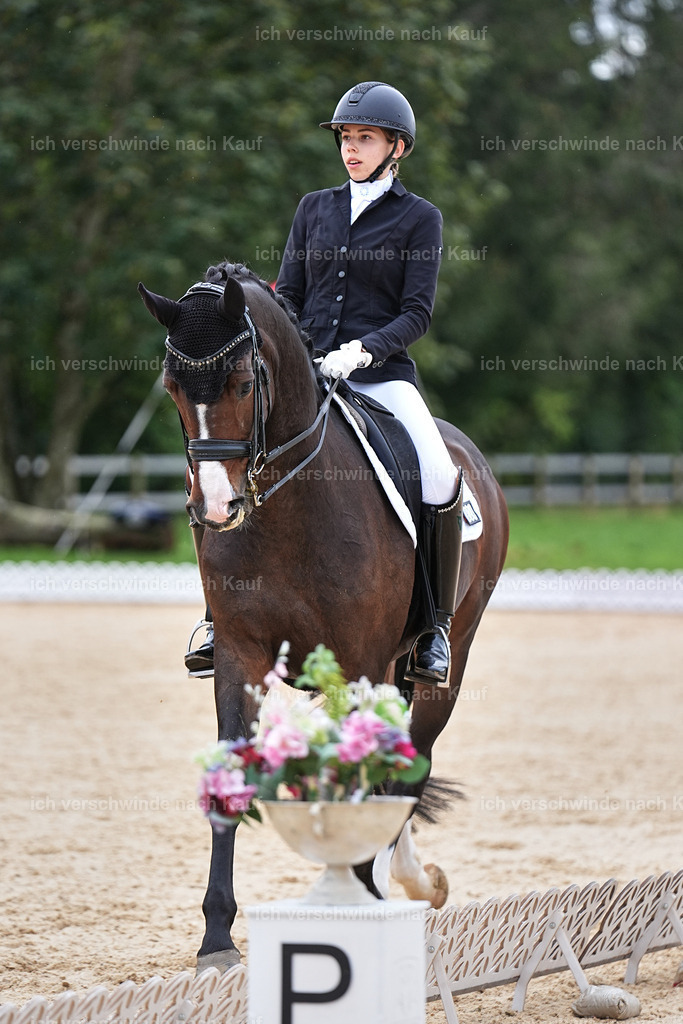 3-224-Dressur M_-Marixx-2011 | working equitationturnier fotograf videograf stoibphotography marixx film working equitation deutschland reitsport turnierfotografie eventfotografie equestrian events