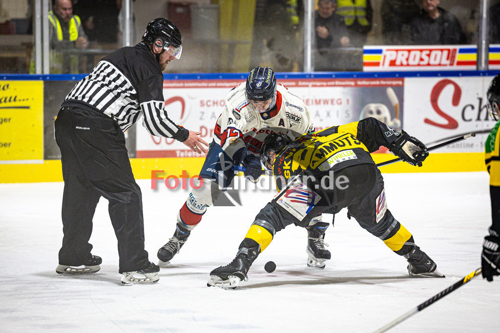 EA Schongau MANNUTS gegen VfE Ulm/Neu-Ulm DEVILS | Eishockey Bayernliga 2025/26 Vorrunde 6 Spieltag, EA Schongau MANNUTS gegen VfE Ulm/Neu-Ulm DEVILS, 20251031,Bully,2025-10-31 in Schongau (Eisstadion Schongau), Julian TISCHENDORF (VfE Ulm/Neu-Ulm DEVILS 13), Lukas Skvarek (EA Schongau MAMMUTS 92)Copyright: WolfgangxLindner www.foto-lindner.de