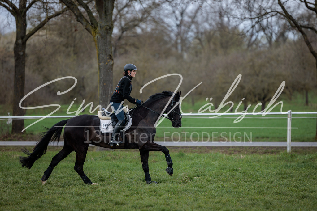 20260329-_3LI4919 | Tierfotografie Pferde, Hunde, Katzen, Haustiere.
Turnierfotografie Reitturniere, Reiten, Springreiten, Dressur in Hanau, dem Main-Kinzig-Kreis und dem Rhein-Main- Gebiet um Frankfurt