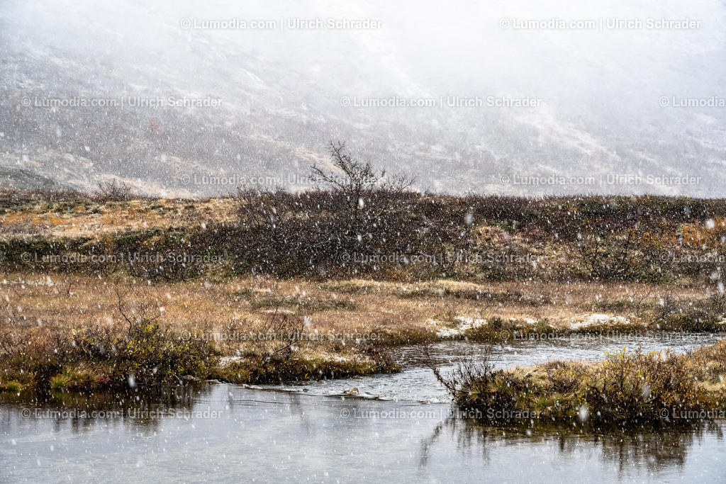 10047-10029 - Am Geirangerfjord - Norwegen | Stockfoto und Bilderpool mit Bildmaterial aus Deutschland, dem Harz, Halberstadt, Quedlinburg, Wernigerode und weltweit. Qualitativ hochwertige und professionelle Fotos anschauen und kaufen. - Realisiert mit Pictrs.com