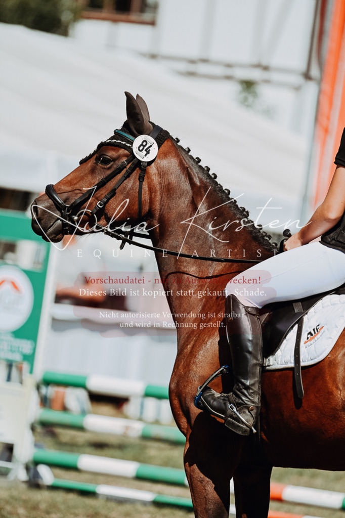 DSC_9903 | Pferde- und Turnierfotografie in Westsachsen. Pferdeportraits, Auftragszeichnungen und intuitive Kunst.