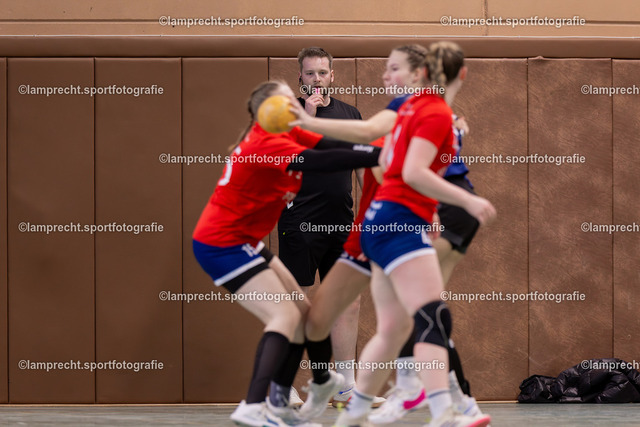 Handball I Damen I Saison 2025-2026 I Verbandsliga Süd I 15. Spieltag I HSG Kalkberg 06 - HSG Holsteinische Schweiz 198 | Schiedsrichter - Realisiert mit Pictrs.com