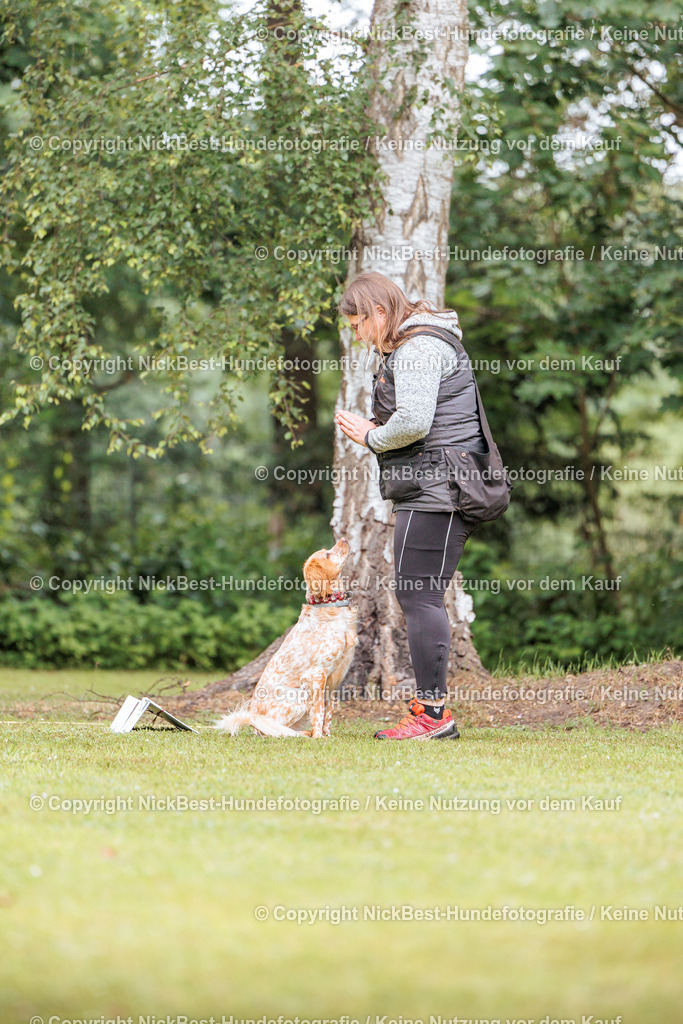 RO-Blumenthal-2026-Nickbest-Hundefotografie-3694 | Dein Hund! Dein Moment! Deine Erinnerungen! Hundefotografie in Bremen Blumenthal. Ich fange die besonderen Momente deines Vierbeiners ein – ob Indoor mit Blitzanlage oder in der freien Natur. Sicher dir dein Moment und dein Termin für eure Erinnerungen.