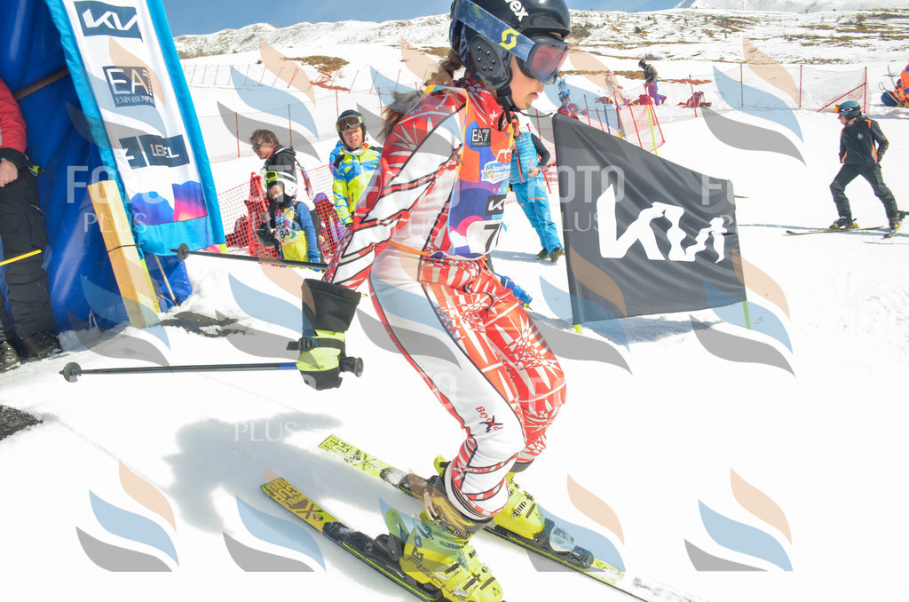 _ELE5516 | holidayphoto