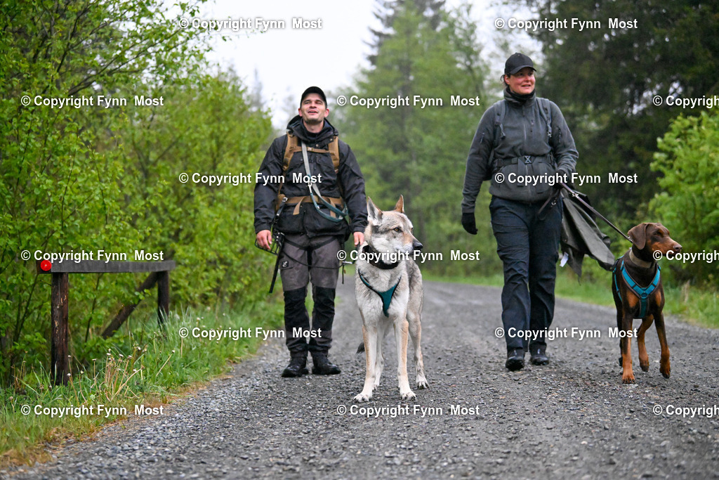DSC_9615 | Hallo und herzlich Willkommen auf meiner Shop-Seite Fynn Most.

Ich wünsche Dir viel Spaß beim stöbern durch die Bilder, wenn Du Fragen hast oder Bilder vermisst, kannst du mir gerne eine Nachricht schreiben. - Realisiert mit Pictrs.com