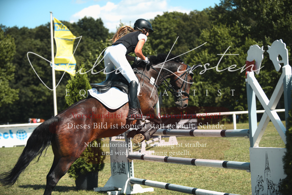 DSC_6977 | Pferde- und Turnierfotografie in Westsachsen. Pferdeportraits, Auftragszeichnungen und intuitive Kunst.
