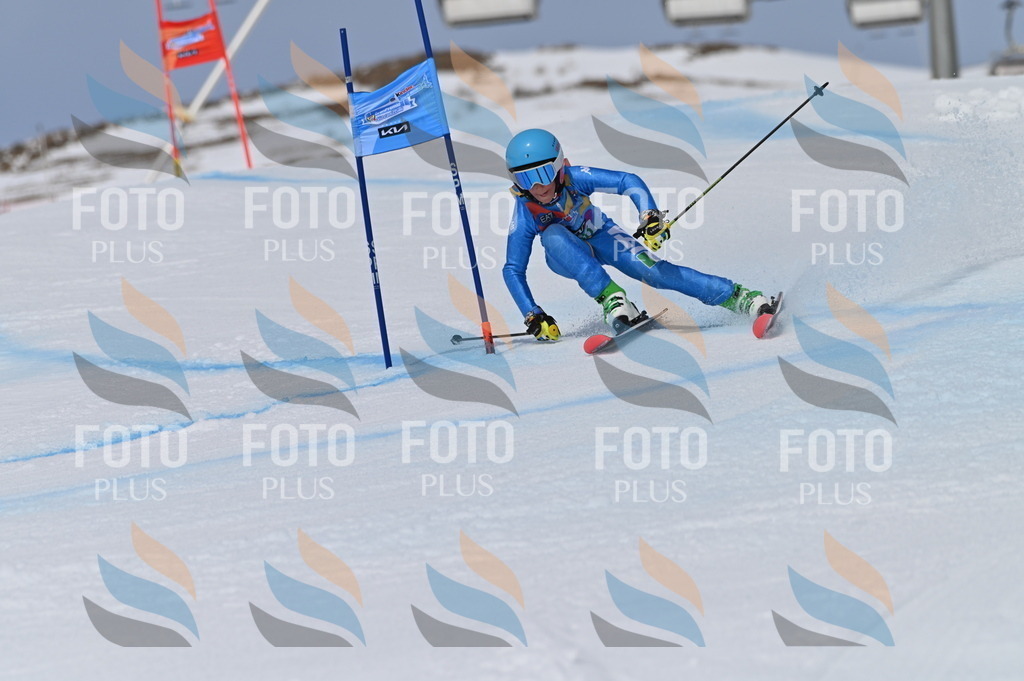 BGV_5746 | holidayphoto