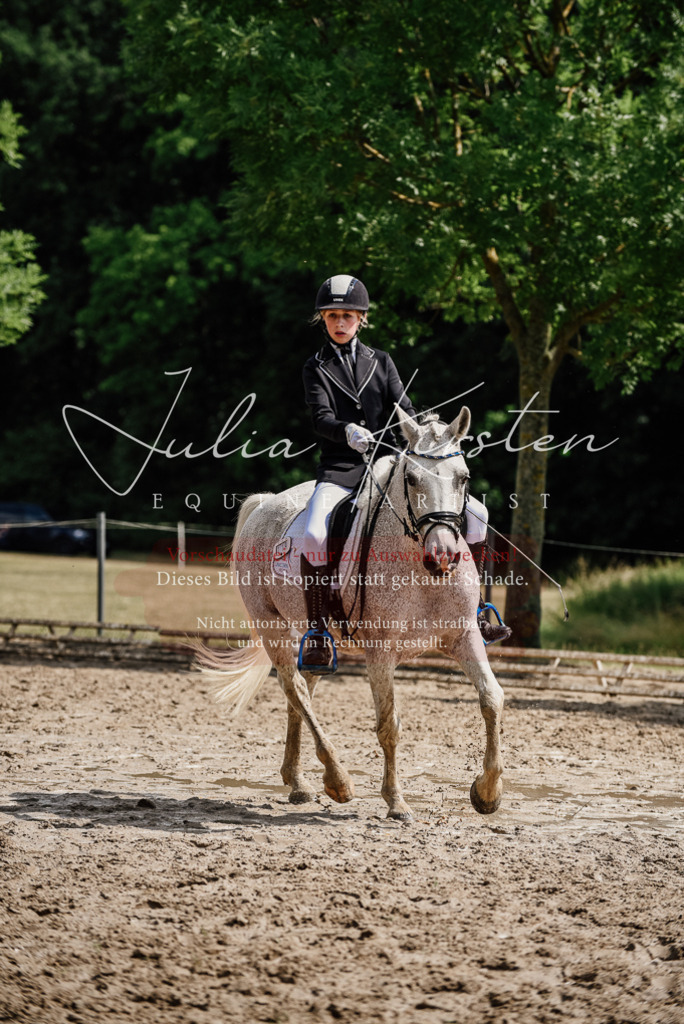 DSC_0514 | Pferde- und Turnierfotografie in Westsachsen. Pferdeportraits, Auftragszeichnungen und intuitive Kunst.