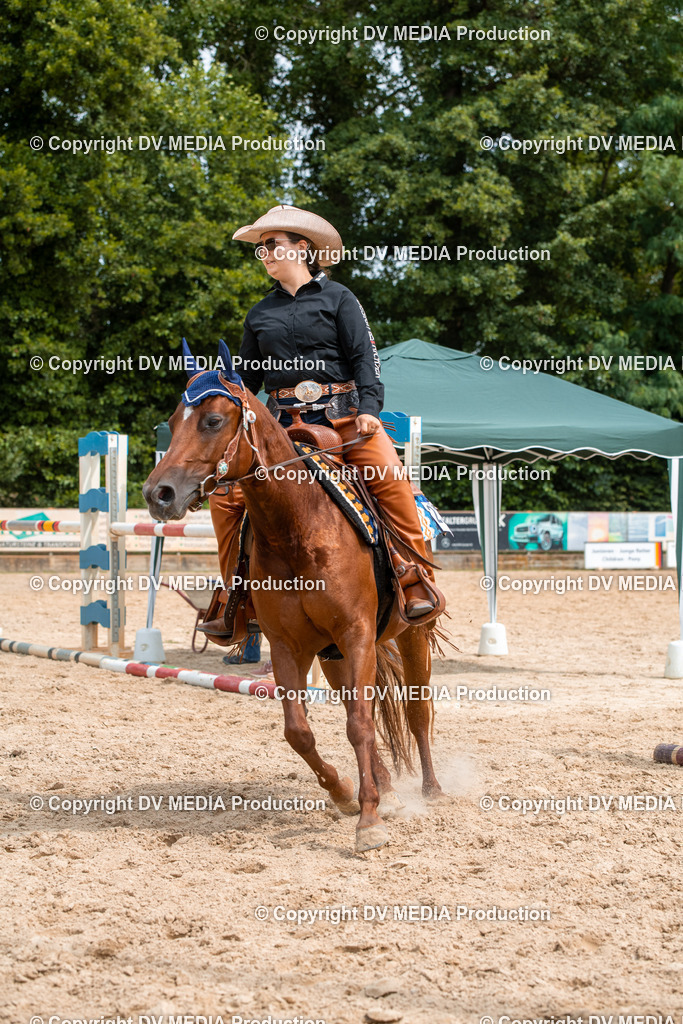 EWP_6104 | dv-media-shop - Realisiert mit Pictrs.com