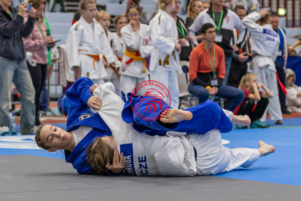 Internationaler Adler Cup 2024 | Foto vom Internationalen Adler Cup Judo Turnier im Sport- und Freizeitzentrum Kalbach im Oktober 2024 - Realisiert mit Pictrs.com