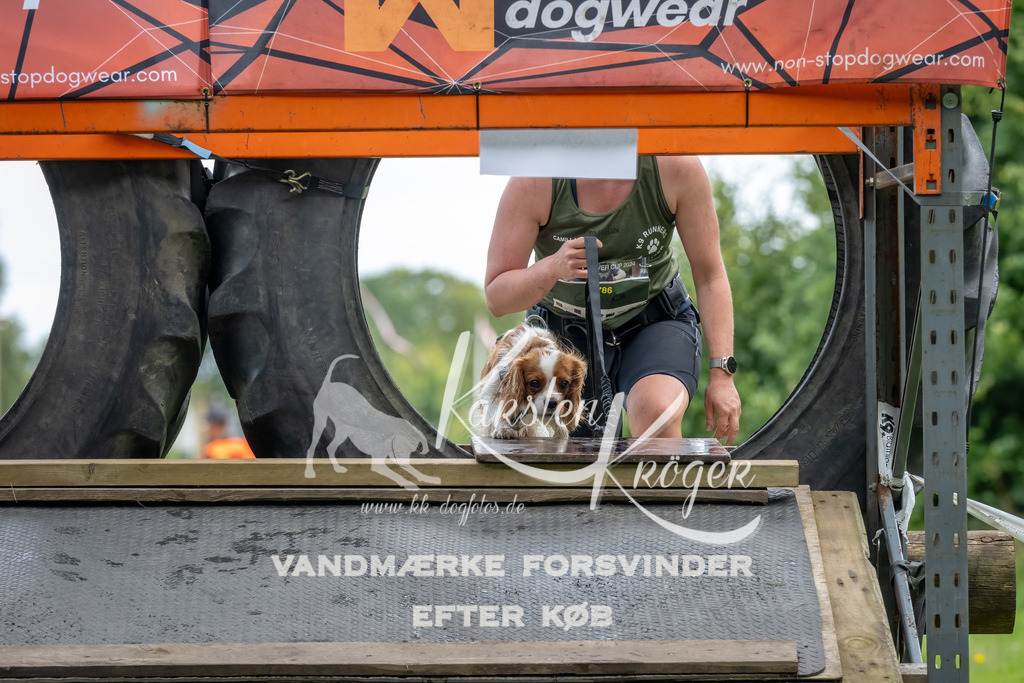 1155_ZZ93254-Bearbeitet | kk-dogfotos