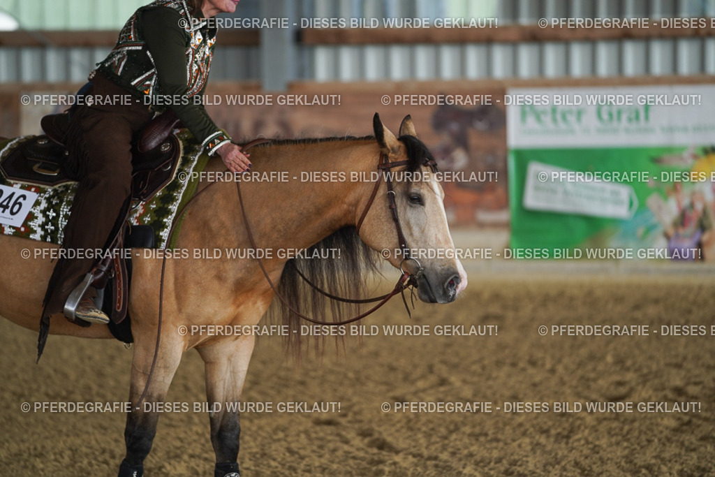 DSC08377 | Pferdegrafie