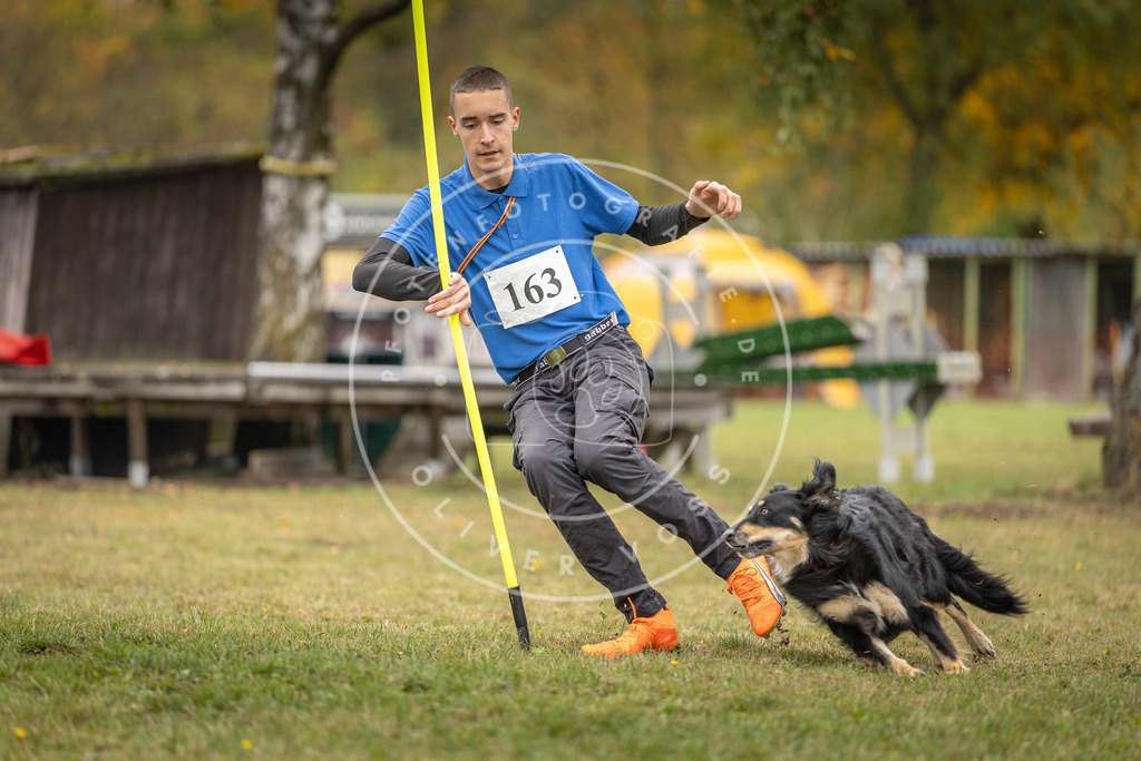 Pfotenfotografie_DV3A5017 | Hundefotografie, Tierfotograf, Pfotenfotografie, Fotoshooting Hund, Hunde Portrait, Hundesport, Hundeportraits, Heideshooting, Hunde, Sportfotograf, Hundefotograf, Turnierhundsport, THS,  - Realisiert mit Pictrs.com