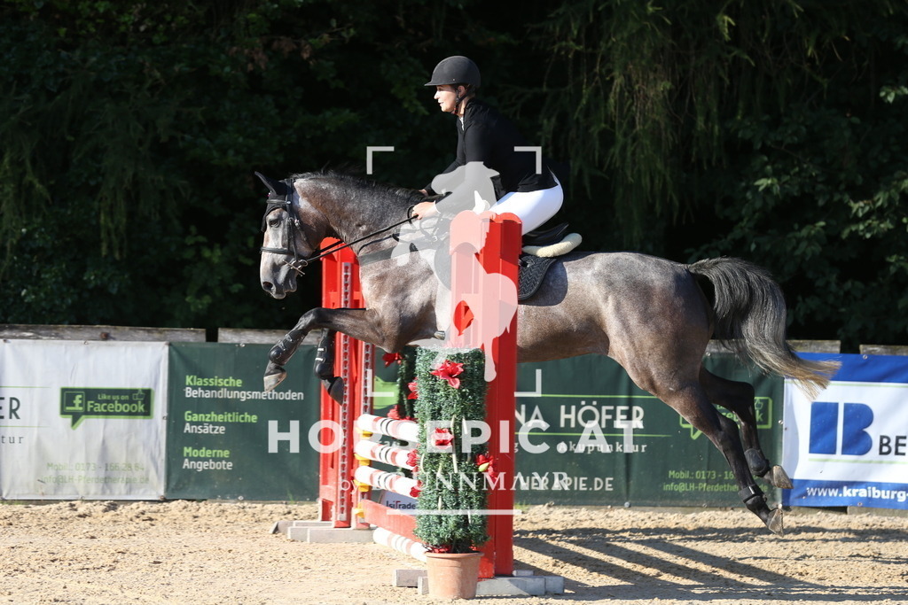 DL2Q7453 | Willkommen bei Brunnmayr - Design & Fotografie – Ihrem Spezialisten für Reitturniere und Pferdeveranstaltungen in Oberösterreich, Salzburg und Bayern! Seit über 17 Jahren sind wir leidenschaftlich dabei.