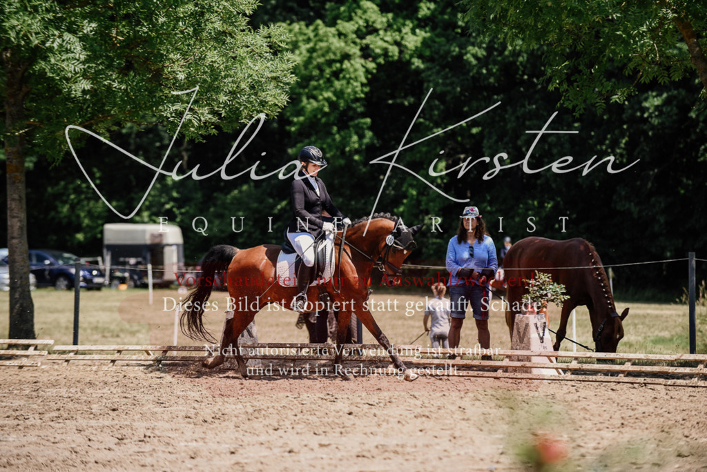 DSC_1900 | Pferde- und Turnierfotografie in Westsachsen. Pferdeportraits, Auftragszeichnungen und intuitive Kunst.
