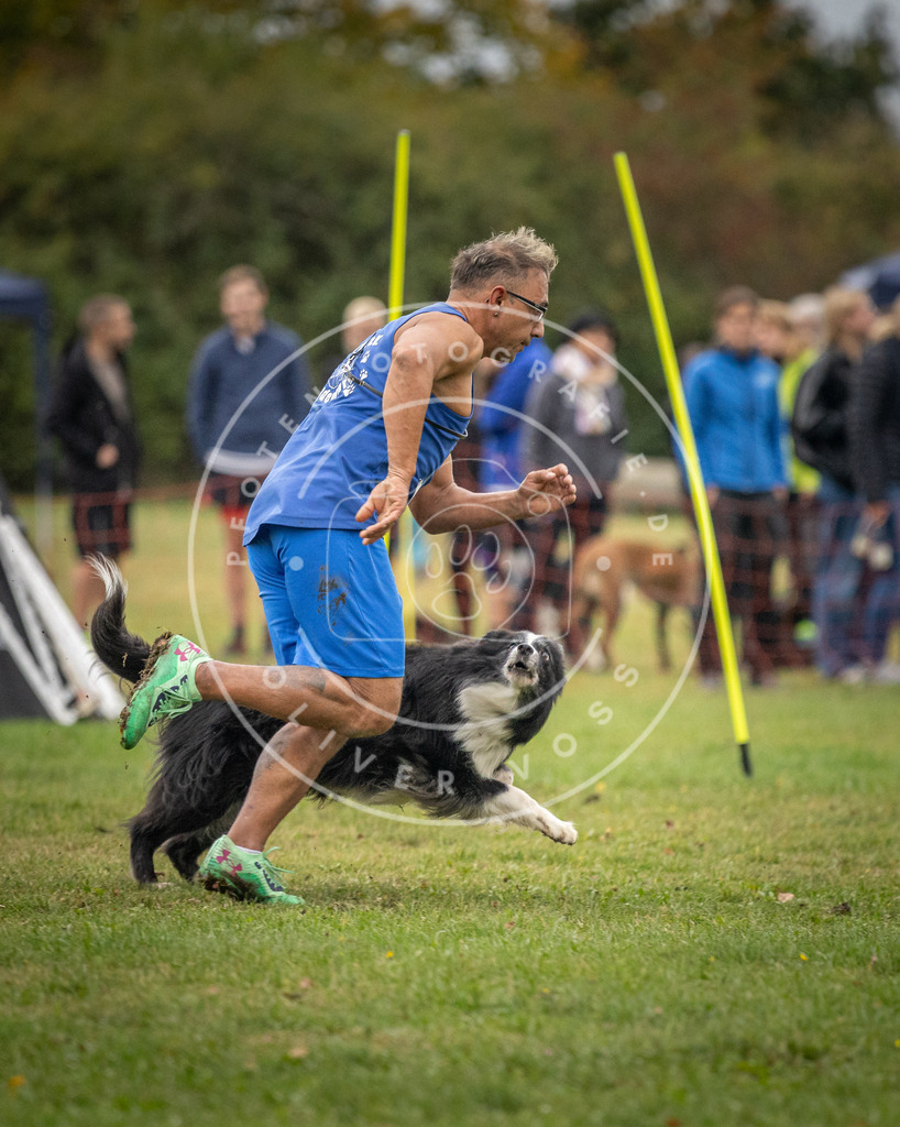 Pfotenfotografie_DV3A0163 | Hundefotografie, Tierfotograf, Pfotenfotografie, Fotoshooting Hund, Hunde Portrait, Hundesport, Hundeportraits, Heideshooting, Hunde, Sportfotograf, Hundefotograf, Turnierhundsport, THS,  - Realisiert mit Pictrs.com