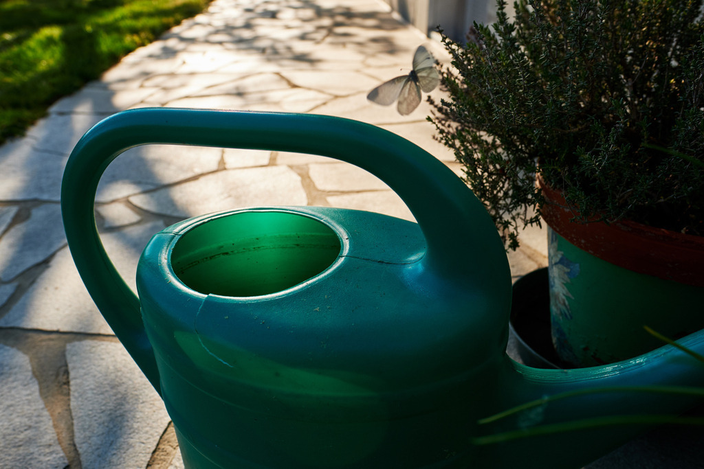 Grüne Gießkanne mit Schmetterling | Austria - April 25, 2020: Impressionen aus dem Hausgarten; Grüne Gießkanne mit Schmetterling. - Realisiert mit Pictrs.com