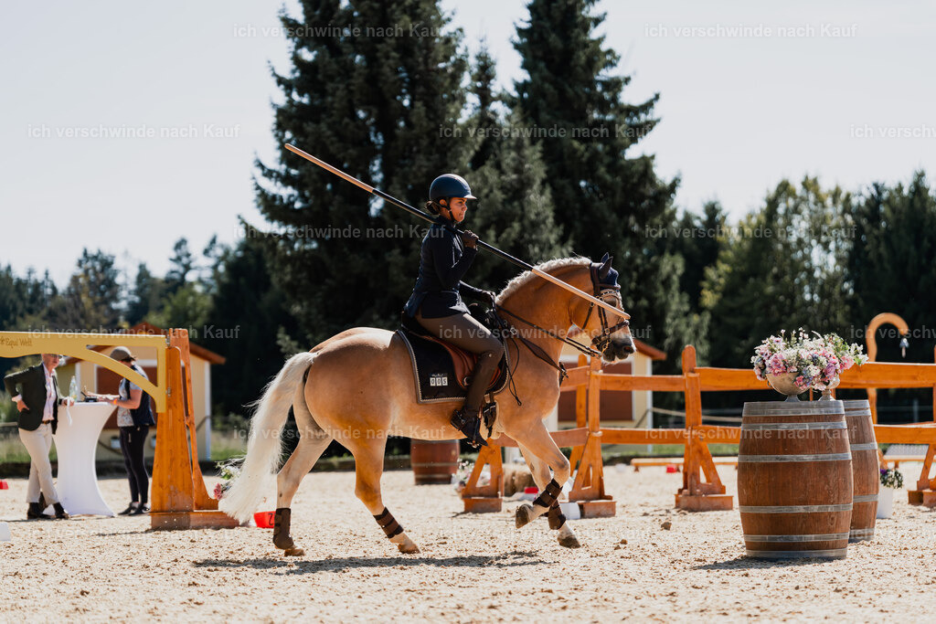 Tanesha5FHC2025-08804 | working equitationturnier fotograf videograf stoibphotography marixx film working equitation deutschland reitsport turnierfotografie eventfotografie equestrian events