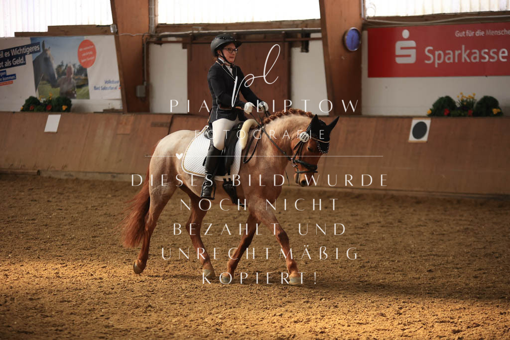 IMGT8339 | pl-fotografie