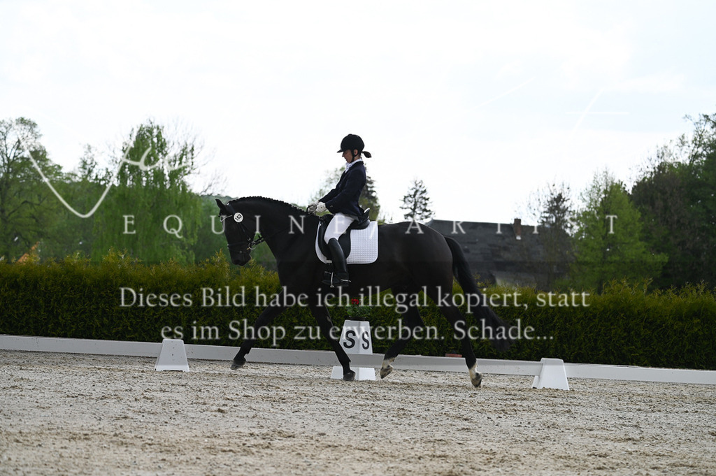 20230512_JK-Röhrsdorf-03-055 | Pferde- und Turnierfotografie in Westsachsen. Pferdeportraits, Auftragszeichnungen und intuitive Kunst.