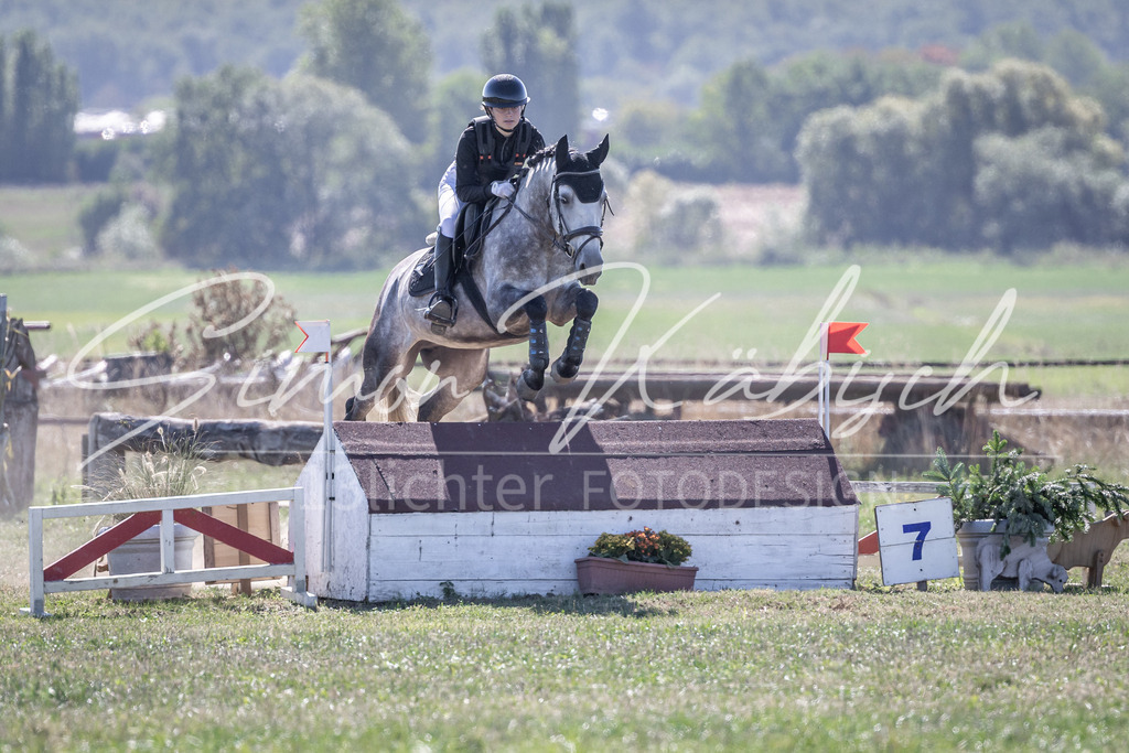 20260906-_3LI2798 | Tierfotografie Pferde, Hunde, Katzen, Haustiere.
Turnierfotografie Reitturniere, Reiten, Springreiten, Dressur in Hanau, dem Main-Kinzig-Kreis und dem Rhein-Main- Gebiet um Frankfurt