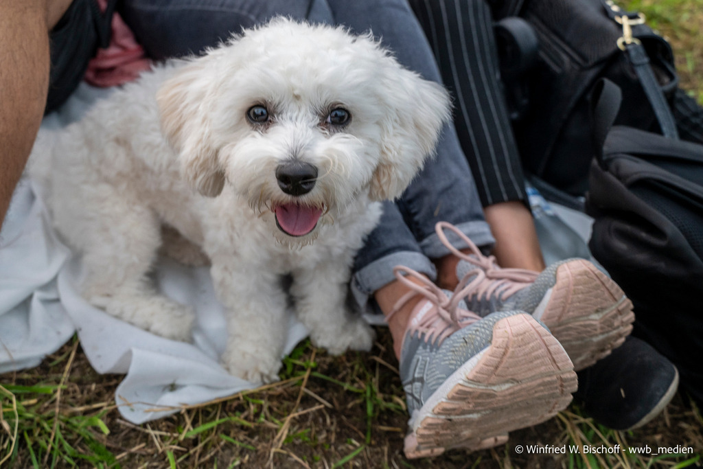 _DSC1629 | <Fotografie> <Video> <Film> <Winfried Bischoff> - Realisiert mit Pictrs.com