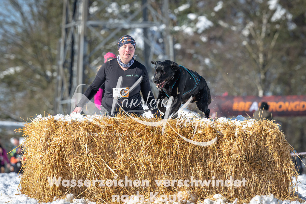 1113_ZZ90621-3 | kk-dogfotos