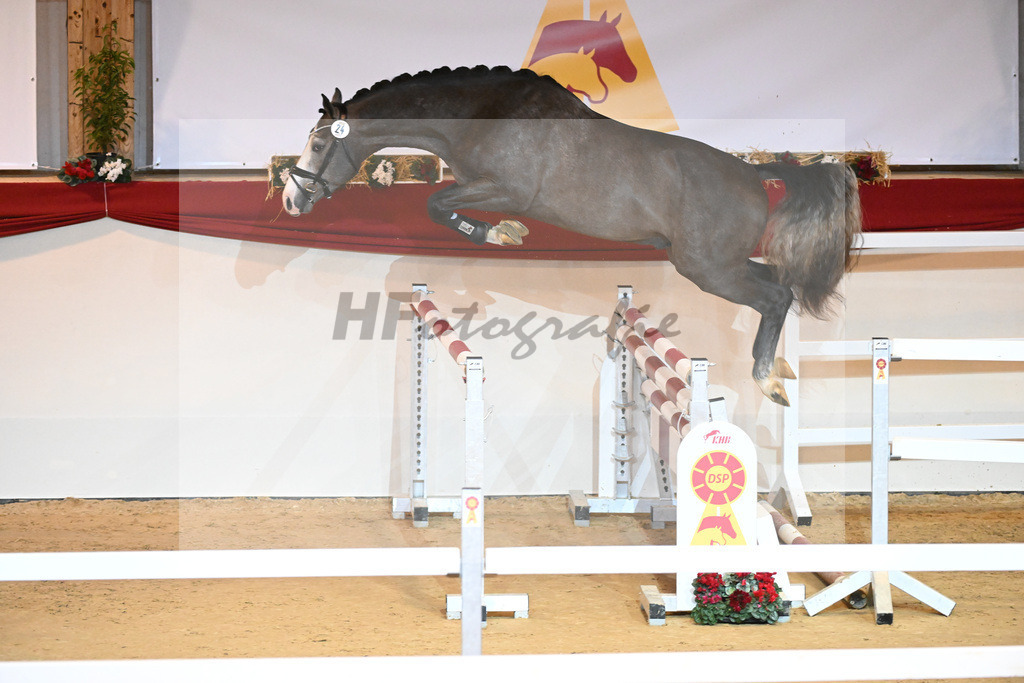 Kat-Nr. 24 Hickstead White_Zeil_1230899 | hf-fotografie - Realizzato con Pictrs.com