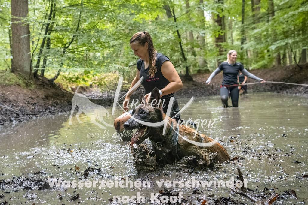 1114_ZZ90302-Bearbeitet-2 | kk-dogfotos