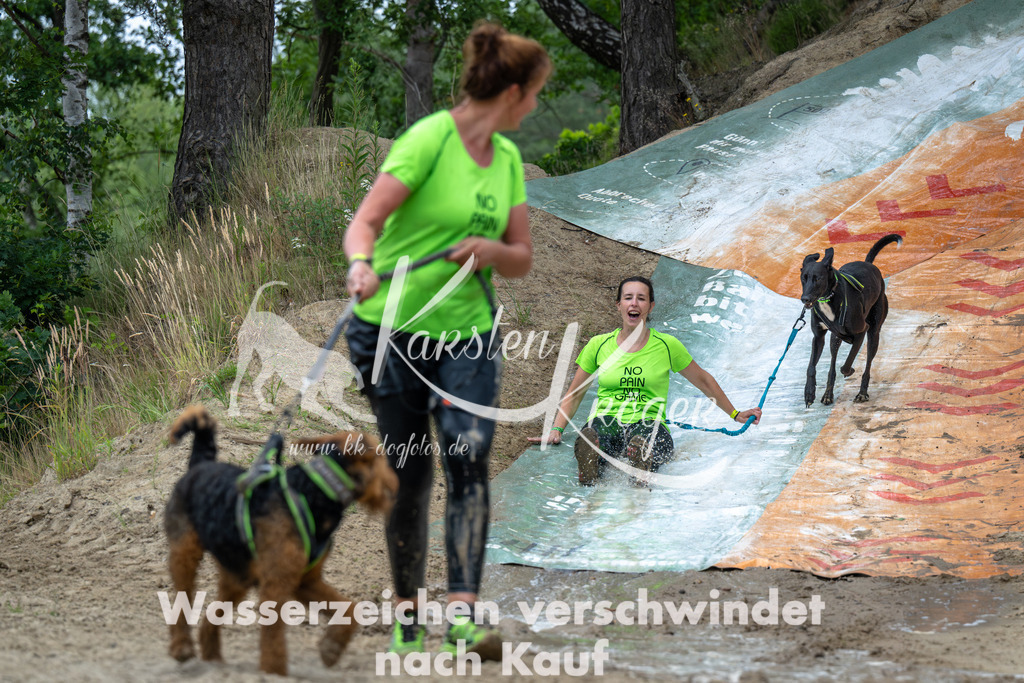 0954_ZZ91711-Verbessert-RR | kk-dogfotos