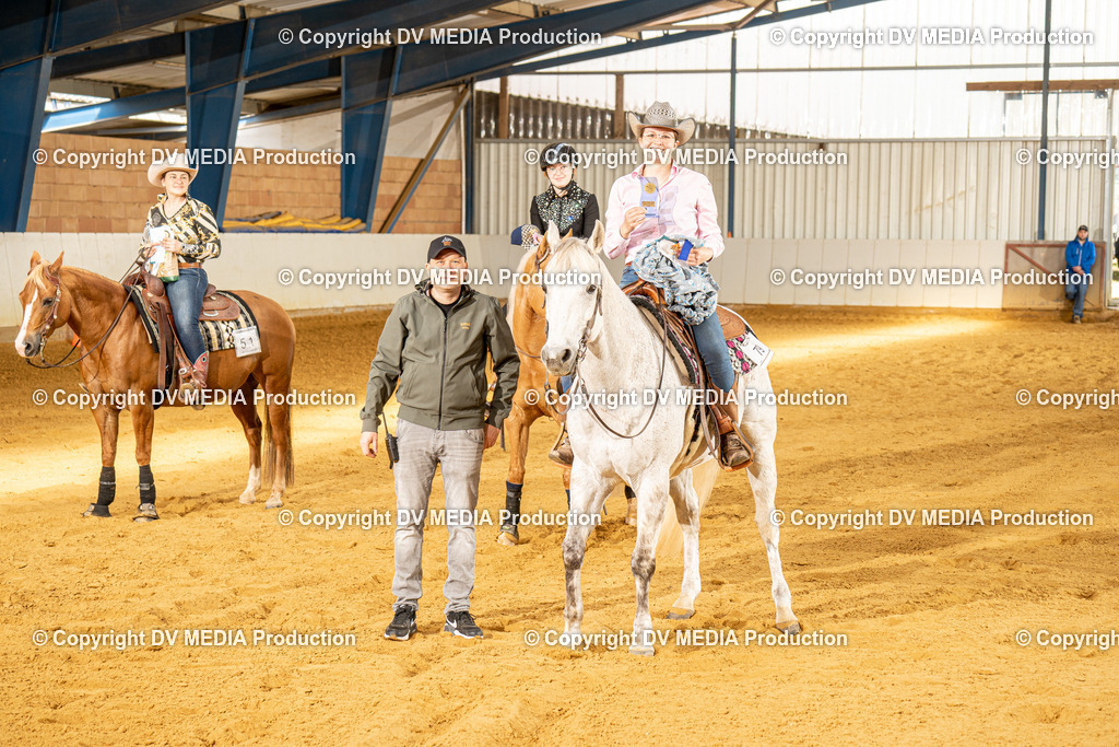 MIT01083 | dv-media-shop - Realisiert mit Pictrs.com