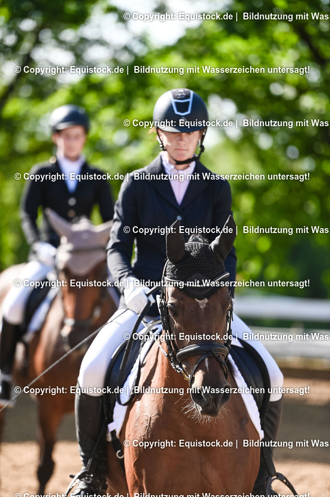 20230716_04_Dressurreiterprüfung Kl.A_0106 | equistock