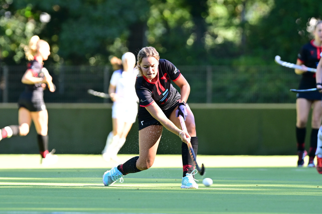 Hockey I Frauen I Saison 2024-2025 I 2. Bundesliga I 6. Spieltag I TG Heimfeld - DSD Düsseldorf | Der Sportfotograf. - Realisiert mit Pictrs.com