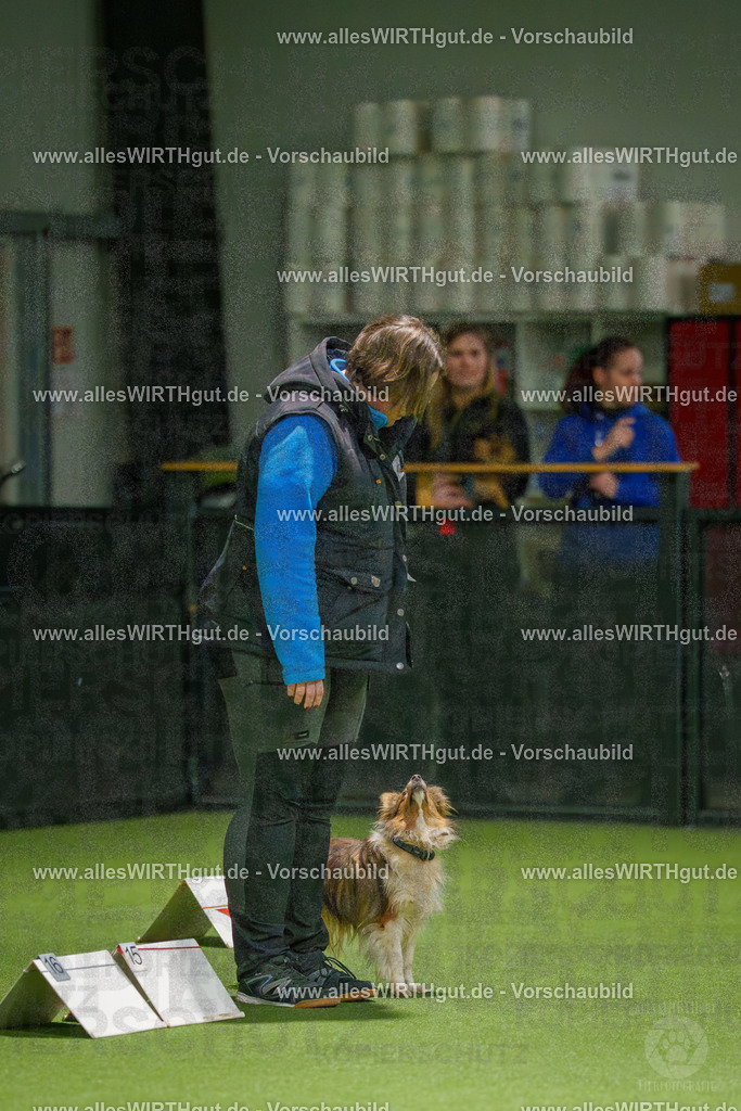 7R509144 | Professionelle Tierfotografie in Mönchengladbach von Daniel Wirth (allesWIRTHgut). Liebevolle & natürliche Bilder von Hunden & Katzen für unvergessliche Erinnerungen.