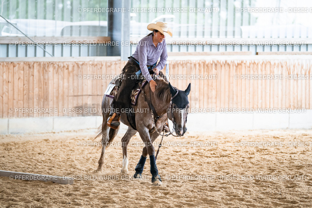 DSC03325 | Pferdegrafie