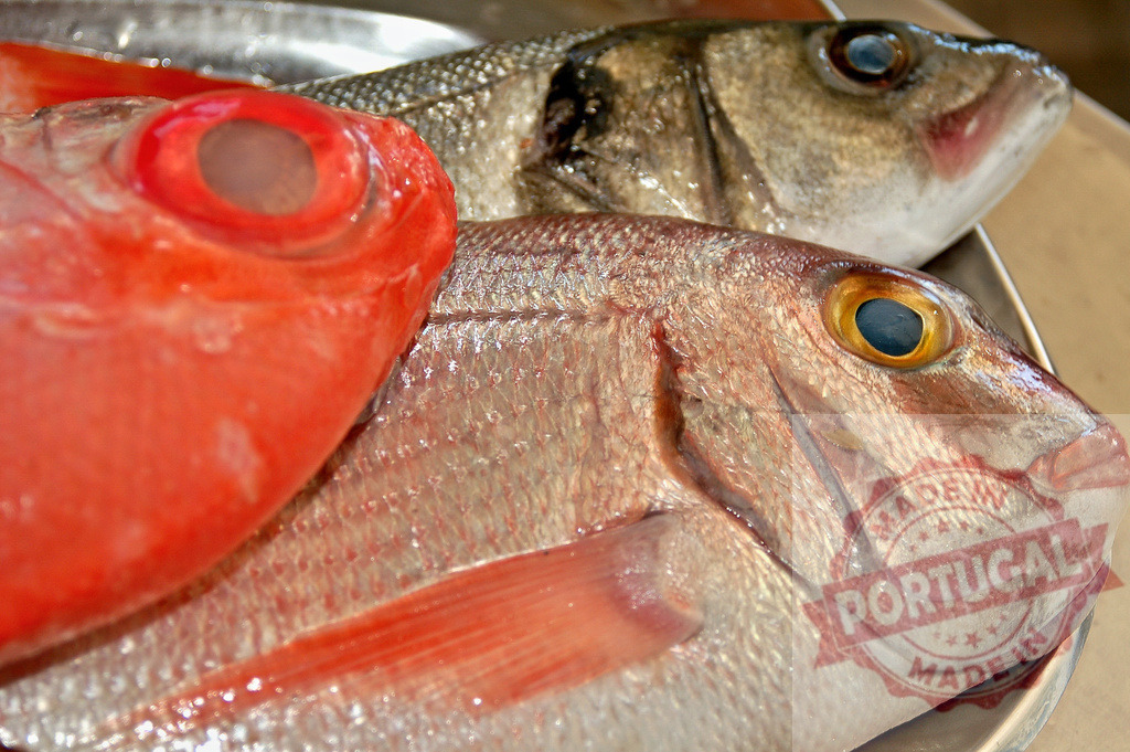 Fresh fish with red snapper and sea bream on market stall | Freshly caught fish including red snapper and sea bream ready for sale - Realized with Pictrs.com