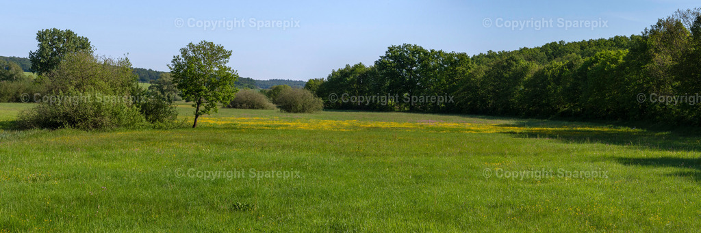 PAN_Outlook_Spring_Meadow8 | sparepix - Realisiert mit Pictrs.com
