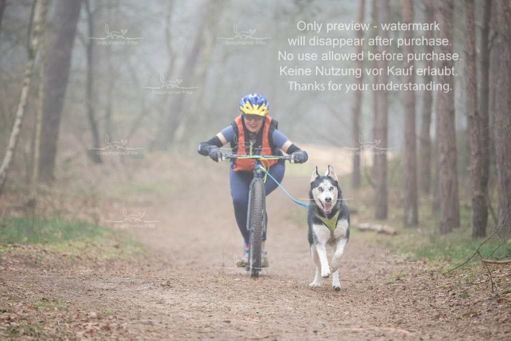 Scooter1-159 | stephaniefillaphotographie - Realisiert mit Pictrs.com